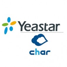 Yeastar YCMS300 Модуль Char для S300