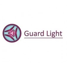 Iron Logic Guard Light - 1/100L Лицензия